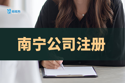 南宁公司注册申请入口,本人不到场也能办!